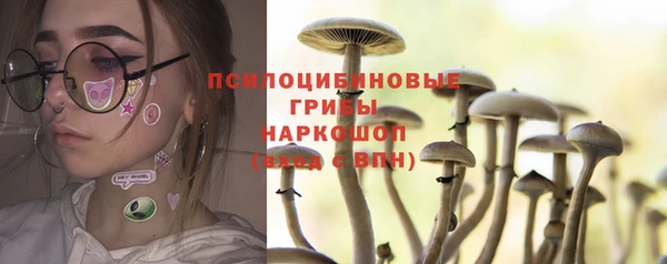 винт Новокубанск